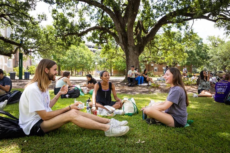 Students sitting on lawn on under oak tree on campus