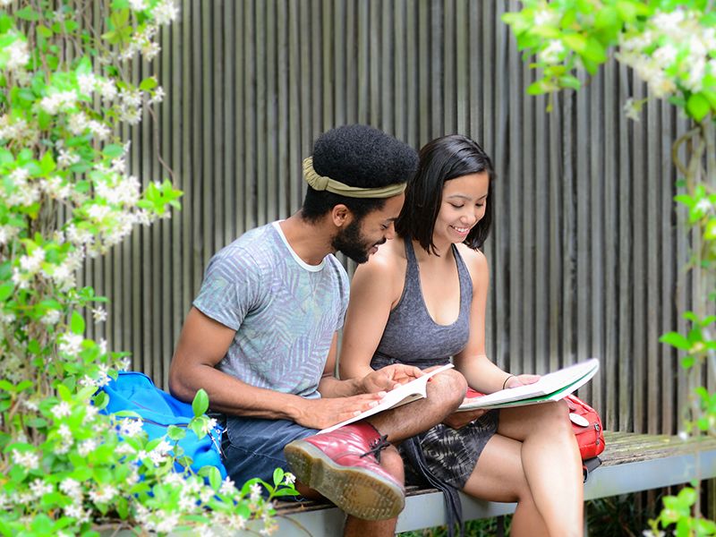 Students studying on campus bench 