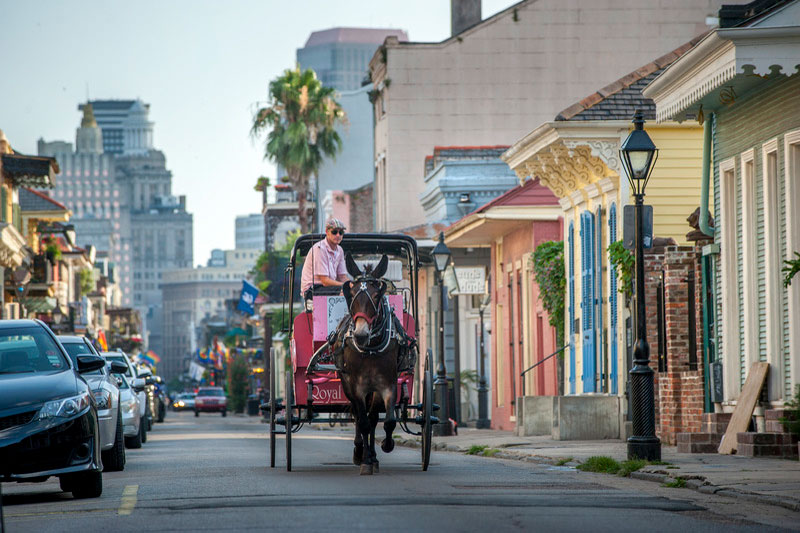 French Quarter horse carriage with city skyline in background
