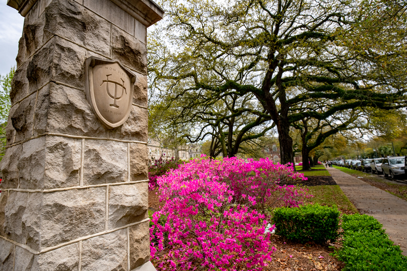 Canopy of oak trees, azaleas and stone pylon at the entrance to Tulane University