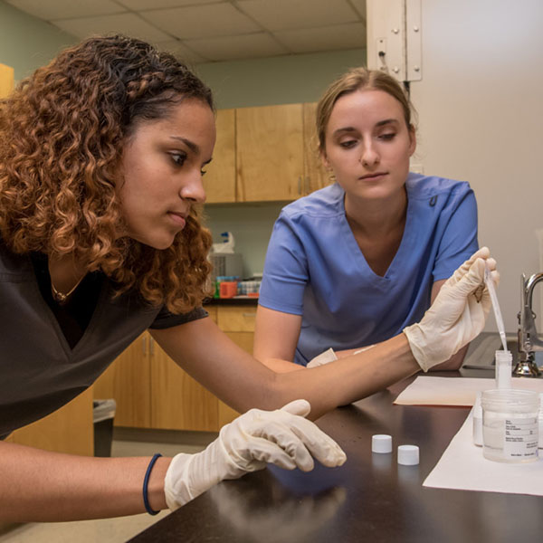 Two students working with sample specimens in a lab