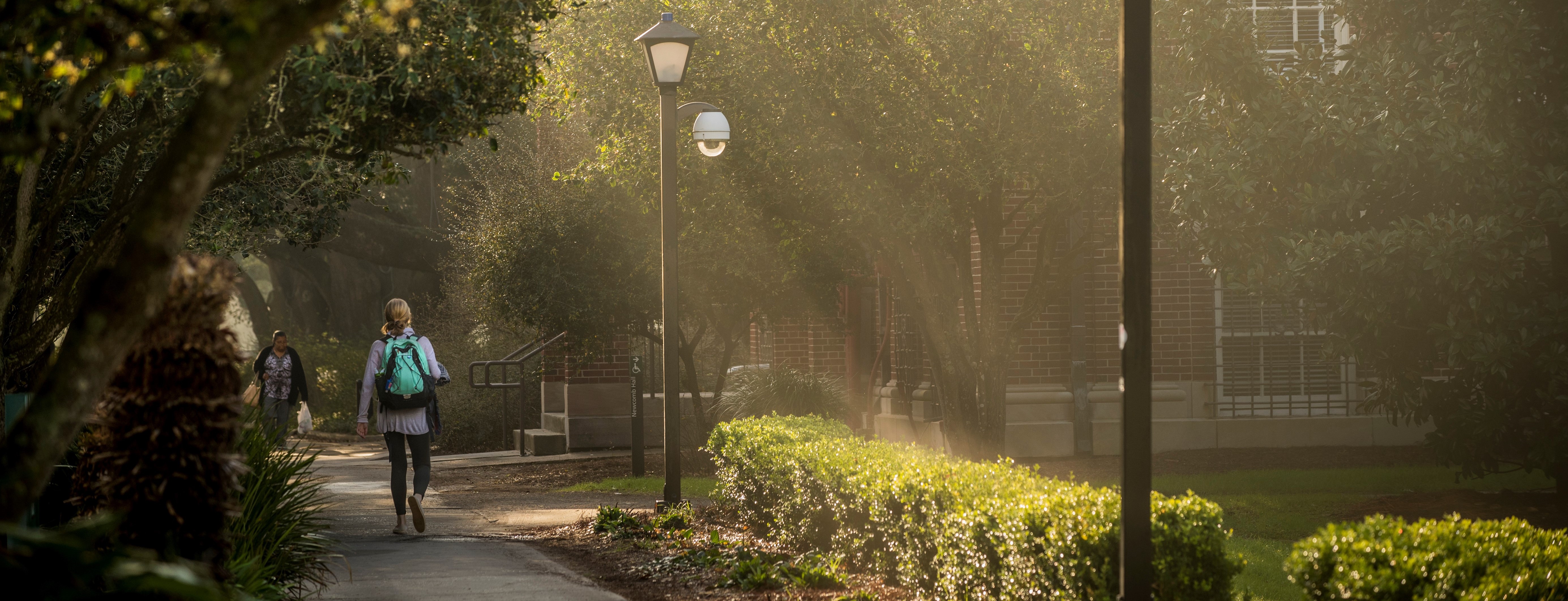 A person with back to camera walking down path near Newcomb Hall