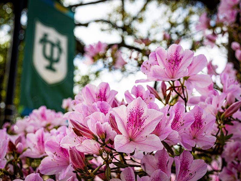 Flowers in front of a street lamp pole banner for Tulane.