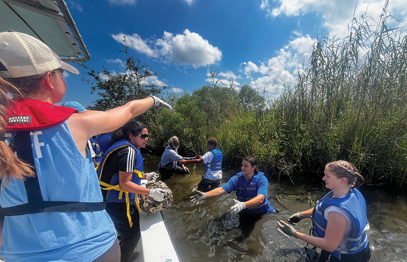 Tulane students work on a coastal restoration project using oyster shells