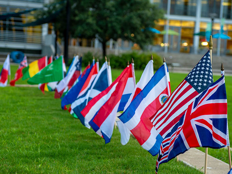 A grouping of different countries' flags on the lawn in front of the LBC.