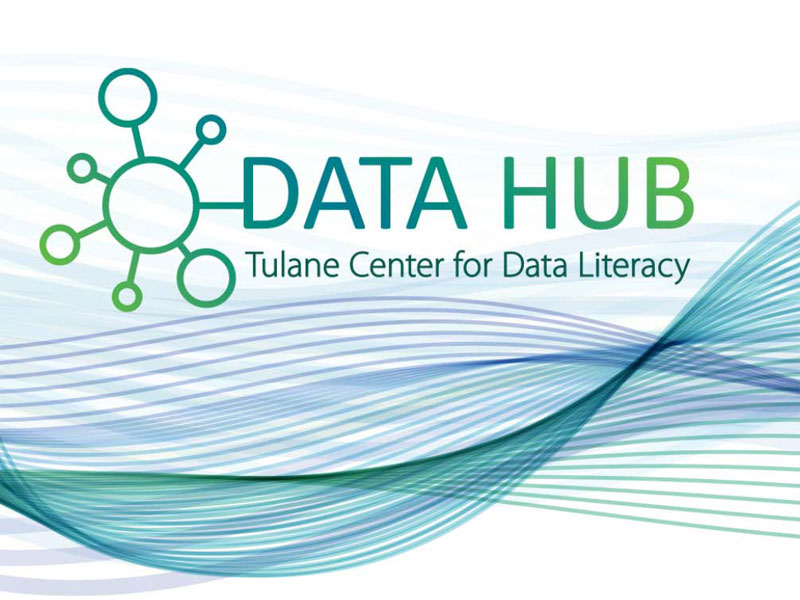 Data Hub graphic