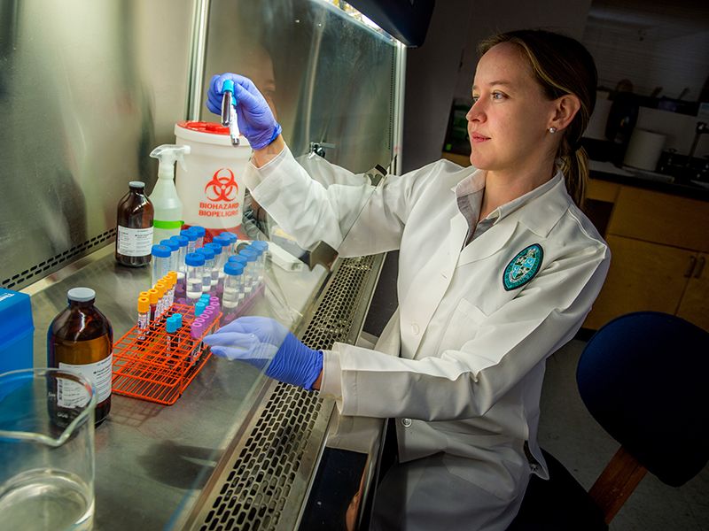 A doctor conducts research in her lab