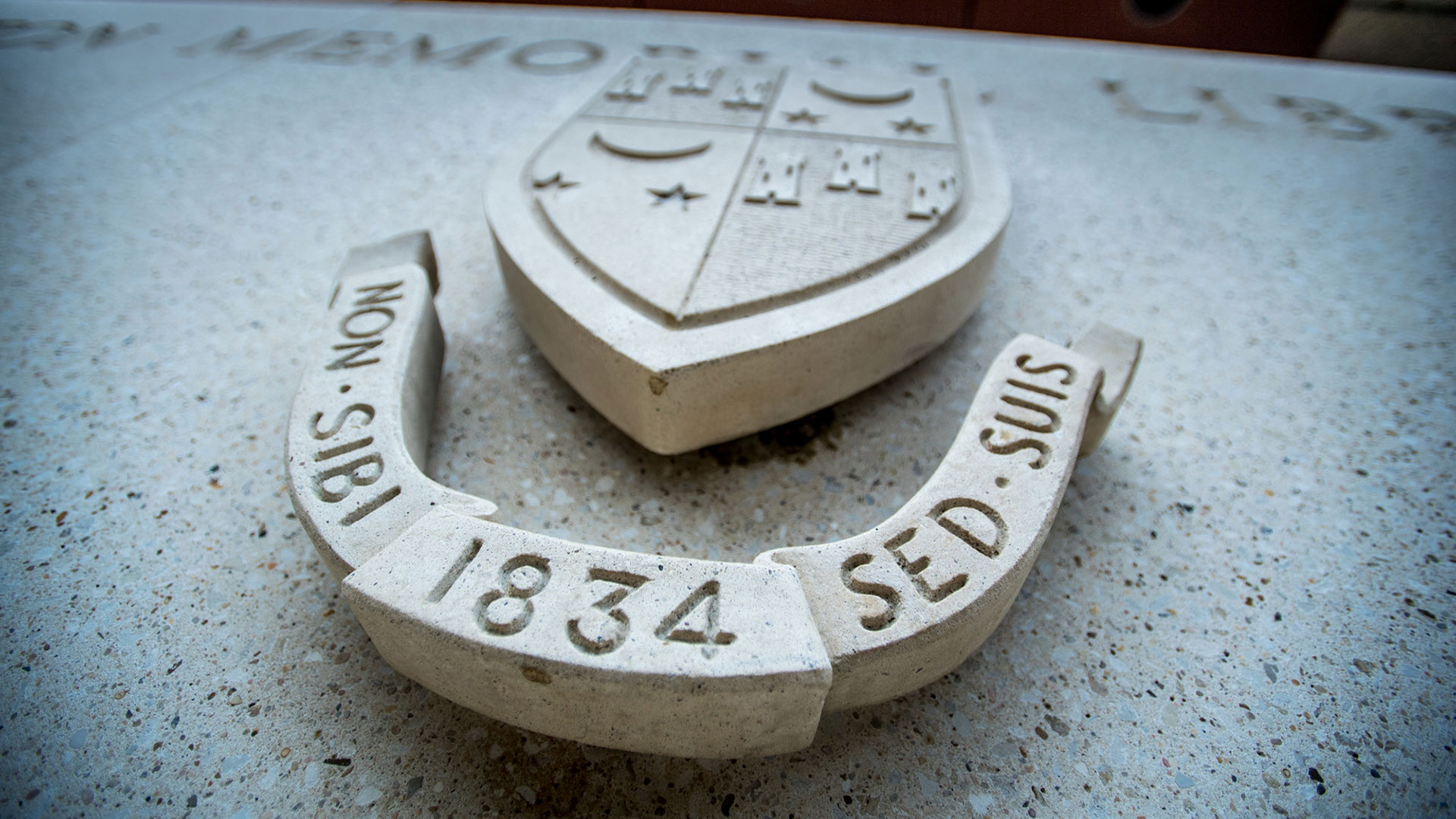 Tulane University shield