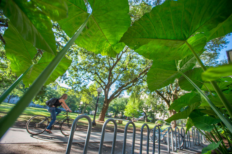 Student bikes along campus