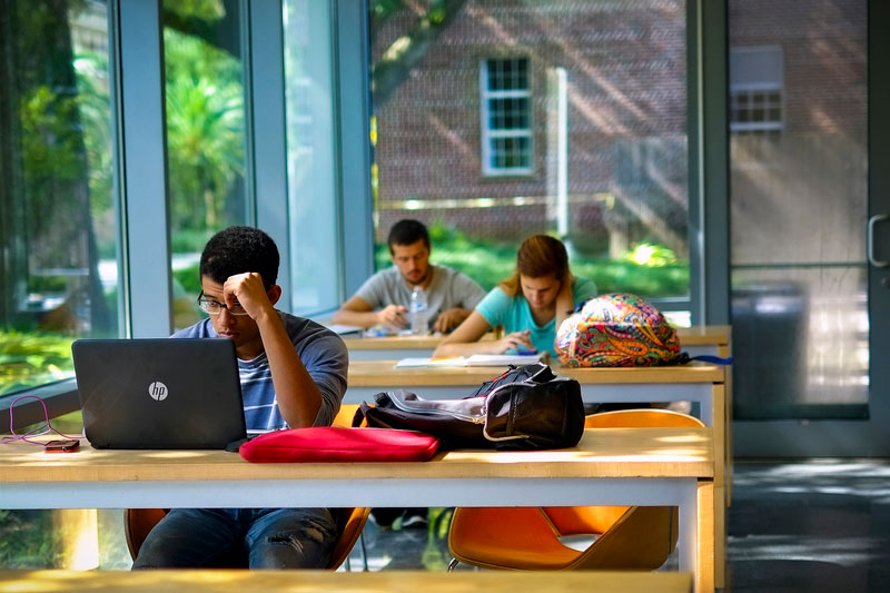 Students study at desks at the business school