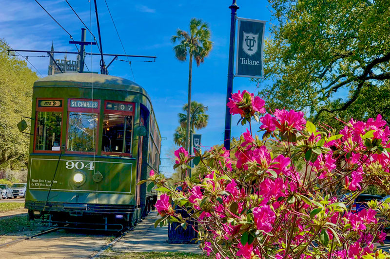 A green streetcar passing down St. Charles Avenue