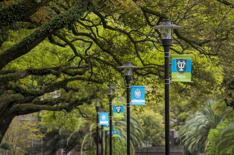 A canopy of oak trees and Tulane banners along McAlister 