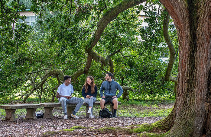 Students sitting on bench under tree