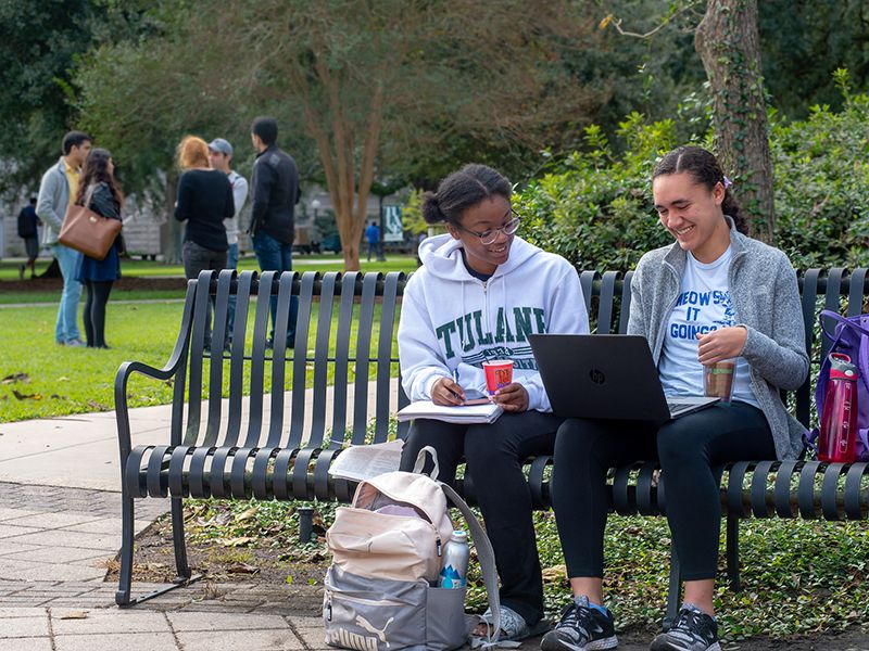 Students studying on campus bench