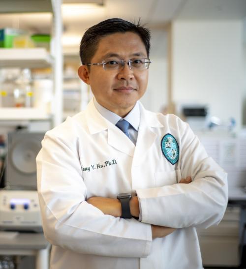 Tony Hu, PhD