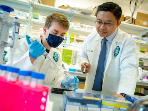Tony Hu and associate collaborate in lab