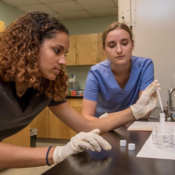 Two students working with sample specimens in a lab