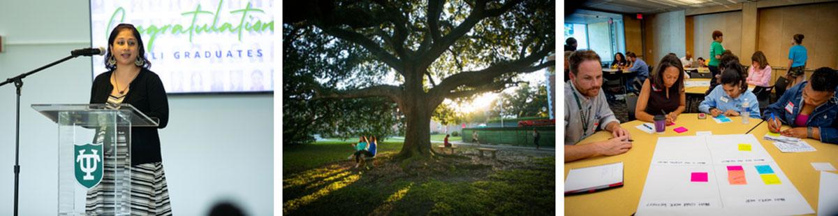3 photos: speaker, oak tree on campus, staff workshop