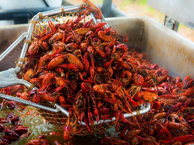 Boiled crawfish